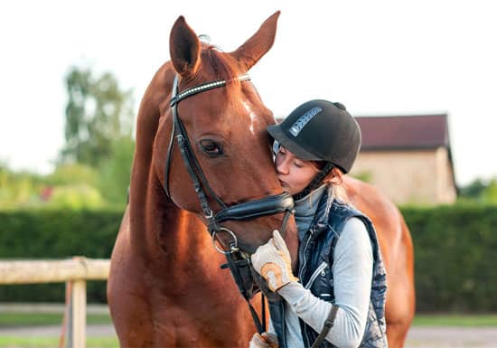 New Tack, Supplies & Gear: Spring Top-Sellers for Equestrians